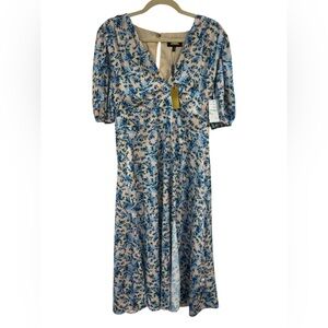 Zimmermann Cream and Blue Floral V-Neck Midi Dress